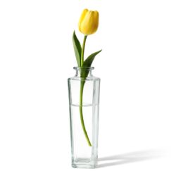 Vază din sticlă în formă de sticlă Ø 5,5 × 25 cm pentru decorarea meselor în cafenele, restaurante și hoteluri.