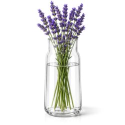 Vaza din sticlă pentru flori Ø 14 x 30 cm este potrivită pentru flori proaspete și decorațiuni uscate. Un accesoriu elegant pentru unități HoReCa și locuințe.