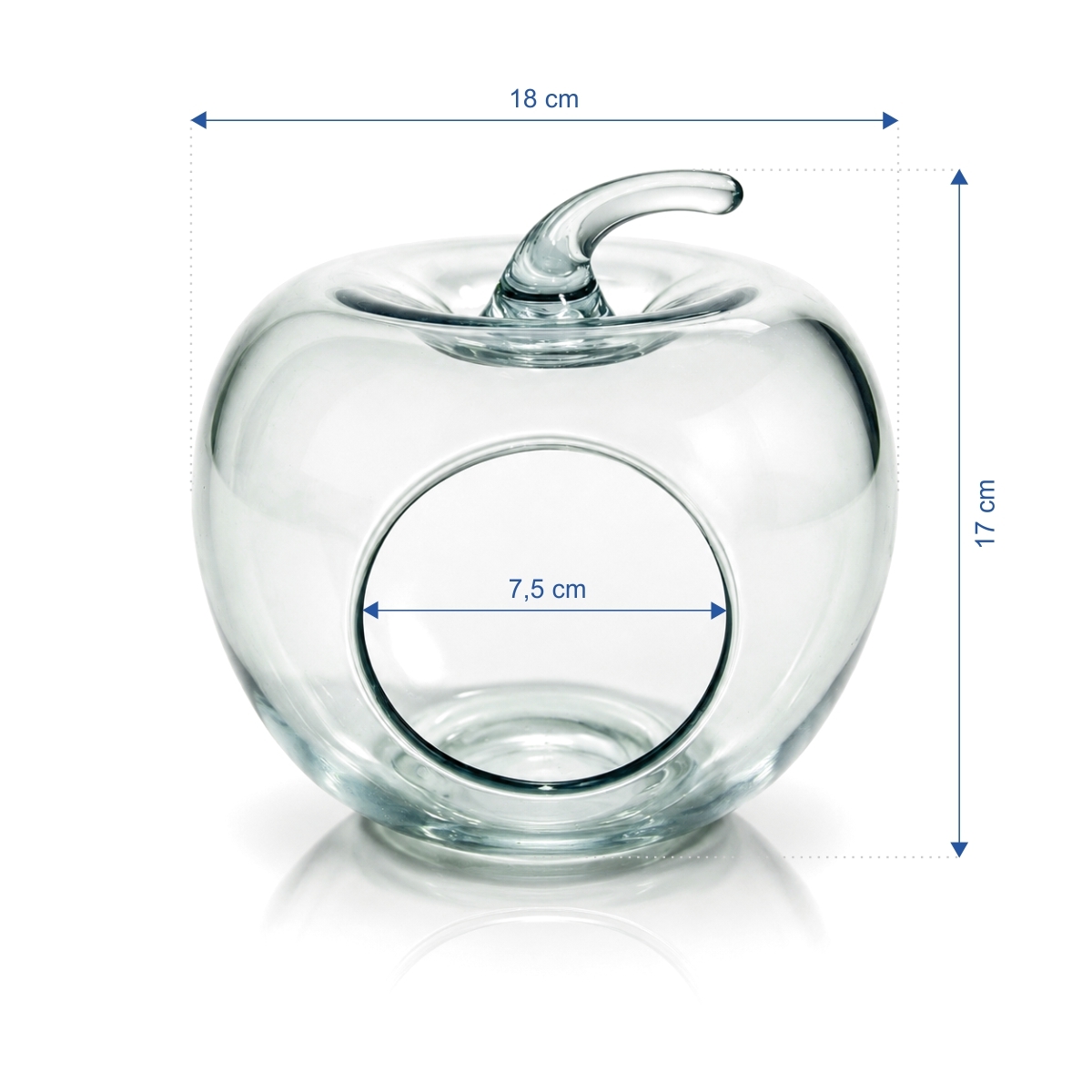 Gastrokitchen vaza decorativa din sticla in forma de mar 17cm (4)