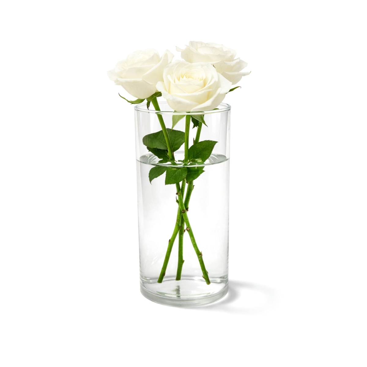 Vază de sticlă cilindrică pentru flori, Ø 10 × 24 cm, din sticlă transparentă. Ideală pentru flori tăiate și decorațiuni. Potrivită pentru gospodării și unități HoReCa.