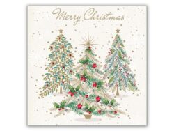 Șervețelul cu 3 straturi Crăciun 33 x 33 cm [20 buc] are un model de Crăciun, care se potrivește perfect pentru a întregi atmosfera festivă.