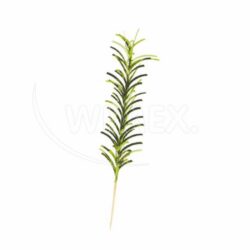 Decorațiune palmier SPIKES 210 mm [50 buc]